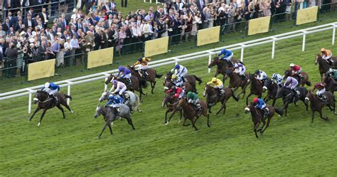 Royal Ascot Betting Odds .